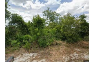 479 COOLIDGE AVENUE, LAKE PLACID, FL 33852 Sold 03/07/25