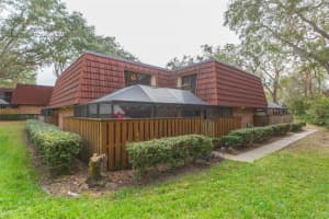 2601 2nd Ct, PALM HARBOR