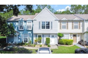 16304 RAMBLING VINE DRIVE, TAMPA, FL 33624 Sold 02/25/25