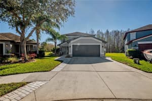 3204 HERNE BAY COURT, LAND O LAKES, FL 34638 Sold 02/19/25