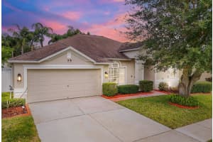 2737 VALENCIA GROVE DRIVE, VALRICO, FL 33596 Sold 03/14/25