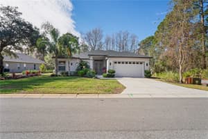 10169 LENOX BOULEVARD, WEEKI WACHEE, FL 34613 Sold 04/23/25