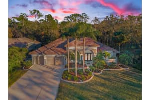 4919 TURTLE CREEK TRAIL, OLDSMAR, FL 34677 Sold 02/14/25