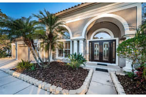 4919 TURTLE CREEK TRAIL, OLDSMAR, FL 34677 Sold 02/14/25