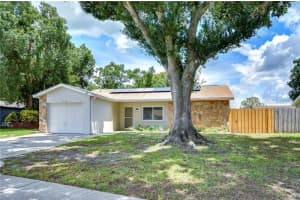 11505 BLACKBARK DRIVE, RIVERVIEW, FL 33579 Sold 06/20/25