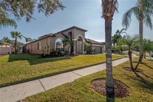 10126 LONDONSHIRE LANE, TAMPA, FL 33647 - MLS#MFRTB8337151