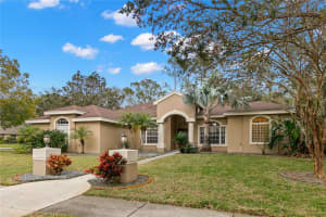 4427 LAVENDER DRIVE, PALM HARBOR, FL 34685 Sold 03/13/25