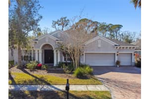 26722 WINGED ELM DRIVE, WESLEY CHAPEL, FL 33544 Sold 03/17/25