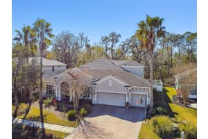 26722 WINGED ELM DRIVE, WESLEY CHAPEL, FL 33544 Sold 03/17/25