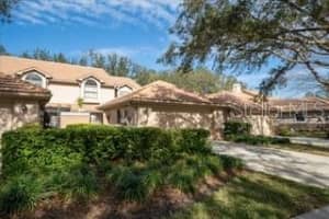 17546 Fairmeadow Dr, TAMPA