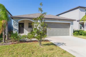 5220 WHITE CHICORY DRIVE, APOLLO BEACH, FL 33572 Sold 02/28/25