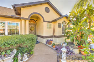 309 WOOD DOVE AVENUE, TARPON SPRINGS, FL 34689 Sold 03/18/25