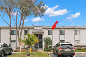 272 CYPRESS LANE, OLDSMAR, FL 34677 Sold 03/13/25