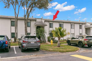 272 CYPRESS LANE, OLDSMAR, FL 34677 Sold 03/13/25