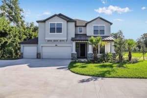 18437 Purple Creek Ln, LUTZ