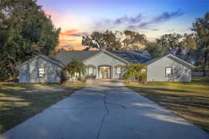 31445 AMBERLEA ROAD, DADE CITY, FL 33523 - MLS#MFRTB8337672