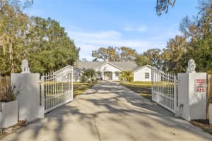 31445 AMBERLEA ROAD, DADE CITY, FL 33523 - MLS#MFRTB8337672