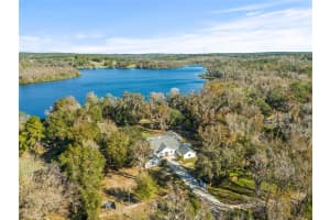 31445 AMBERLEA ROAD, DADE CITY, FL 33523 - MLS#MFRTB8337672