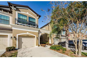 11536 CROWNED SPARROW LANE, TAMPA, FL 33626 Sold 04/07/25