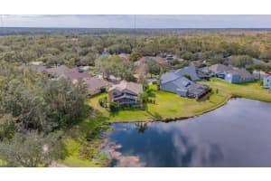 6002 SHEARWATER LANE, LITHIA, FL 33547 Sold 03/28/25
