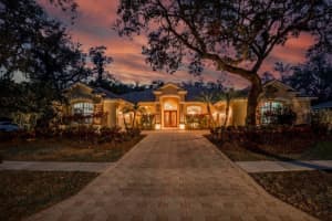 16312 DUNLINDALE DRIVE, LITHIA, FL 33547 Sold 06/06/25