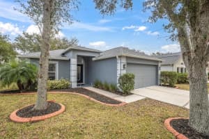 8224 STOCKTON WAY, TAMPA, FL 33647 Sold 03/24/25