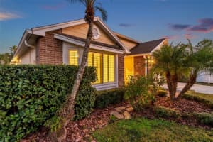 9010 QUAIL CREEK DRIVE, TAMPA, FL 33647 Sold 04/09/25
