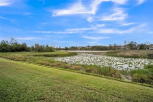 10157 BESSEMER POND COURT, RIVERVIEW, FL 33578 - MLS#MFRTB8337834