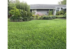 13015 WHISPER BAY PLACE, TAMPA, FL 33618 Sold 03/26/25