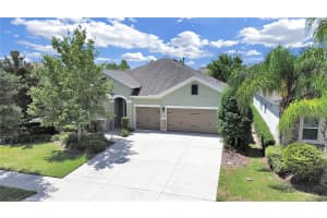 1317 CHARLEEN STREET, BRANDON, FL 33511 Sold 04/15/25