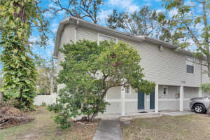 3607 IDLEWILD AVENUE, TAMPA, FL 33614 Sold 02/14/25