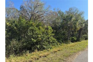 194 RAY STREET, PORT CHARLOTTE, FL 33954 - MLS#MFRTB8338104