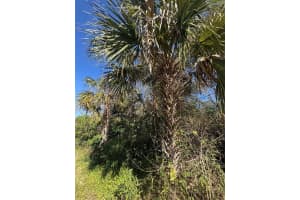 194 RAY STREET, PORT CHARLOTTE, FL 33954 - MLS#MFRTB8338104