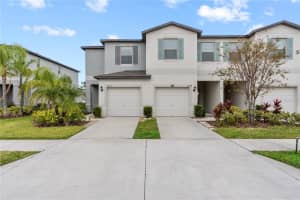 7230 SWEET ALYSSUM COURT, TAMPA, FL 33619 Sold 03/25/25