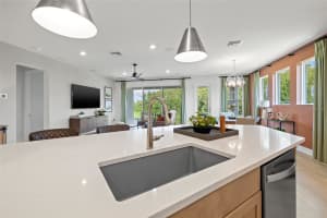 1543 GOPHER LOOP, TARPON SPRINGS, FL 34689 Sold 04/02/25