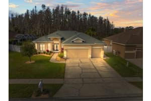 28725 FALLING LEAVES WAY, WESLEY CHAPEL, FL 33543 Sold 02/27/25