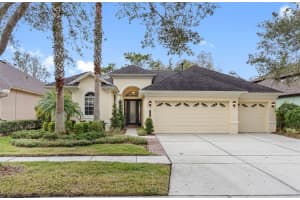 20408 WALNUT GROVE LANE, TAMPA, FL 33647 Sold 02/21/25