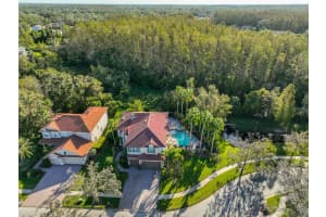 12903 DARBY RIDGE DRIVE, TAMPA, FL 33624 Sold 03/03/25