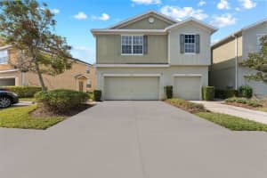 5037 WHITE SANDERLING COURT, TAMPA, FL 33619 Sold 03/16/25