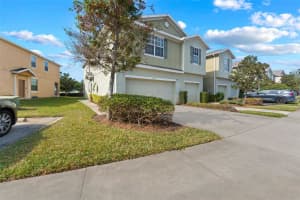 5037 WHITE SANDERLING COURT, TAMPA, FL 33619 Sold 03/16/25