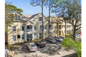 5041 SUNRIDGE PALMS DRIVE, TAMPA, FL 33617 - MLS#MFRTB8338291