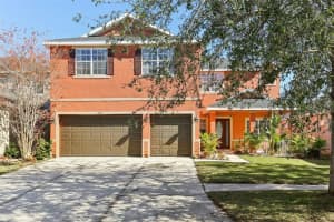 19932 TAMIAMI AVENUE, TAMPA, FL 33647 Sold 04/16/25