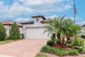19367 COASTAL SHORE TERRACE, LAND O LAKES, FL 34638 - MLS#MFRTB8338383