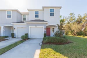7236 Grand Elm Dr, RIVERVIEW