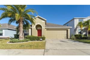 12410 Ballentrae Forest Dr, RIVERVIEW