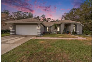 16056 PENWOOD DRIVE, TAMPA, FL 33647 Sold 02/20/25