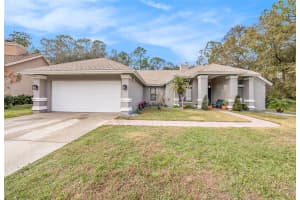 16056 PENWOOD DRIVE, TAMPA, FL 33647 Sold 02/20/25