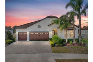 16803 BANNER SHELL PLACE, WIMAUMA, FL 33598 Sold 03/14/25