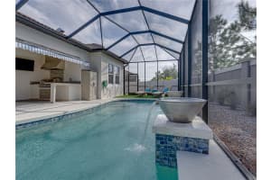 16803 BANNER SHELL PLACE, WIMAUMA, FL 33598 Sold 03/14/25