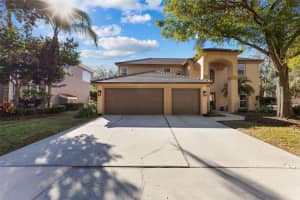 18144 REGENTS SQUARE DRIVE, TAMPA, FL 33647 Sold 03/31/25